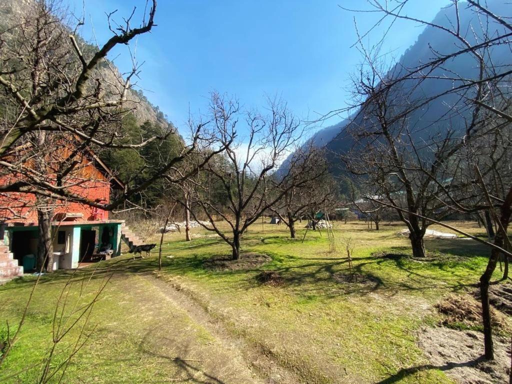 فندق The Royal Orchard كاسول المظهر الخارجي الصورة