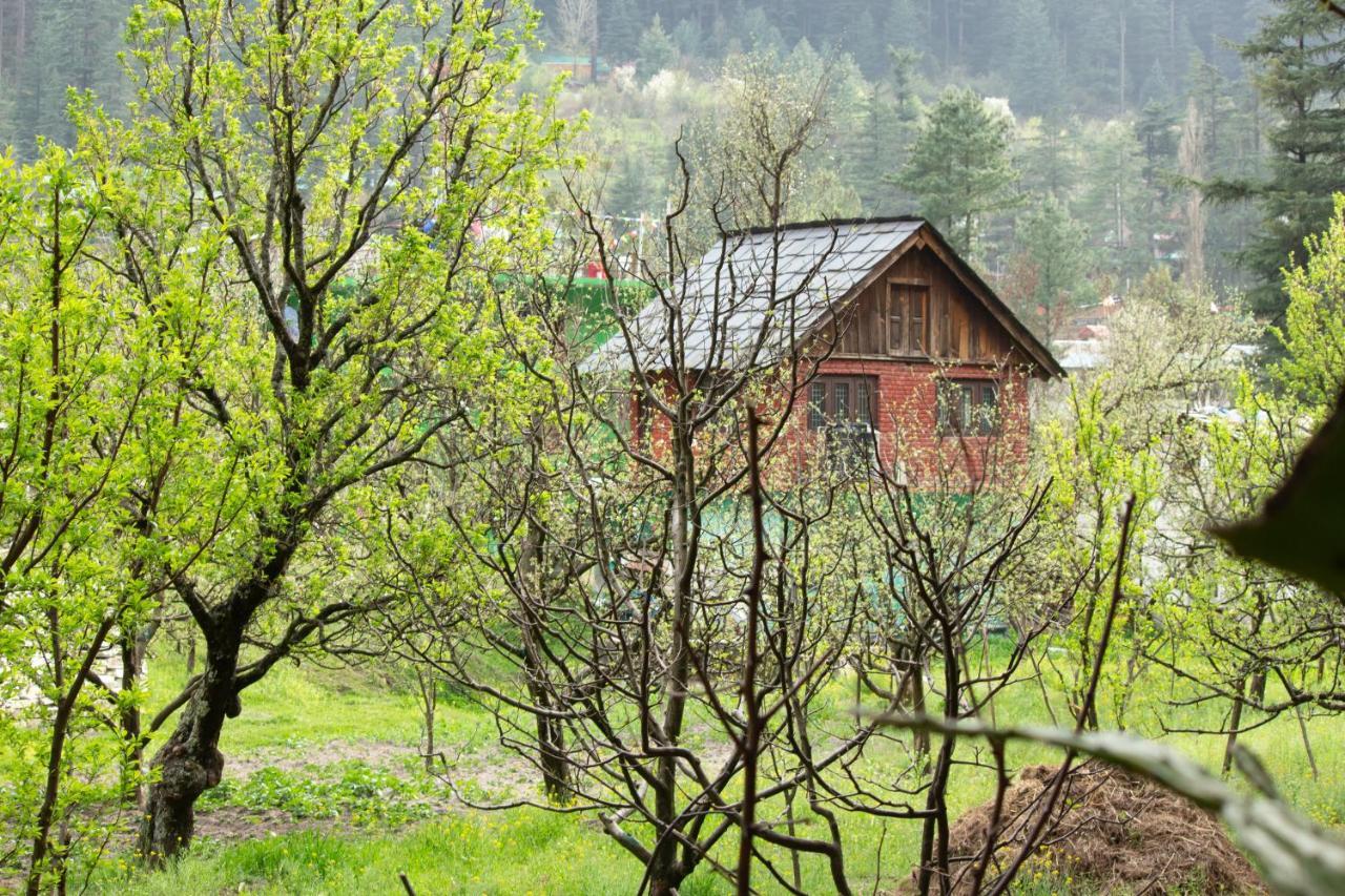 فندق The Royal Orchard كاسول المظهر الخارجي الصورة