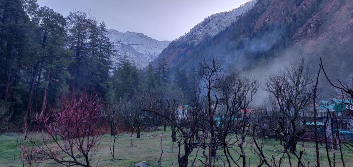 فندق The Royal Orchard كاسول المظهر الخارجي الصورة