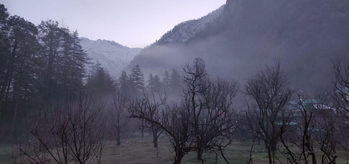 فندق The Royal Orchard كاسول المظهر الخارجي الصورة
